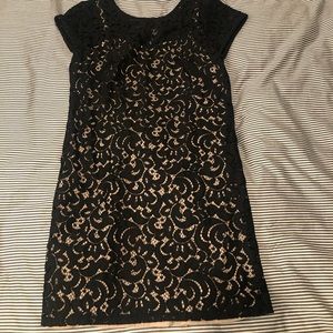 LBD
